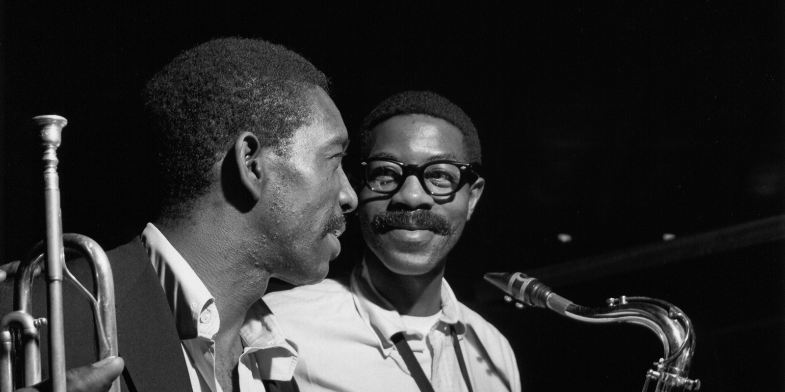 The Scare Collar Limited – Bestia Dog Gear, image size:1600x800